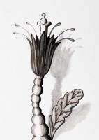 /album/ilustrace/dsc-2701-jpg/