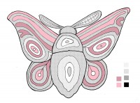 /album/ilustrace/moora-rastr-jpg/