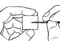 /album/ilustrace/rucebw-jpg/