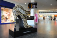 /album/ostatni/a0006-jpg/